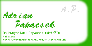 adrian papacsek business card